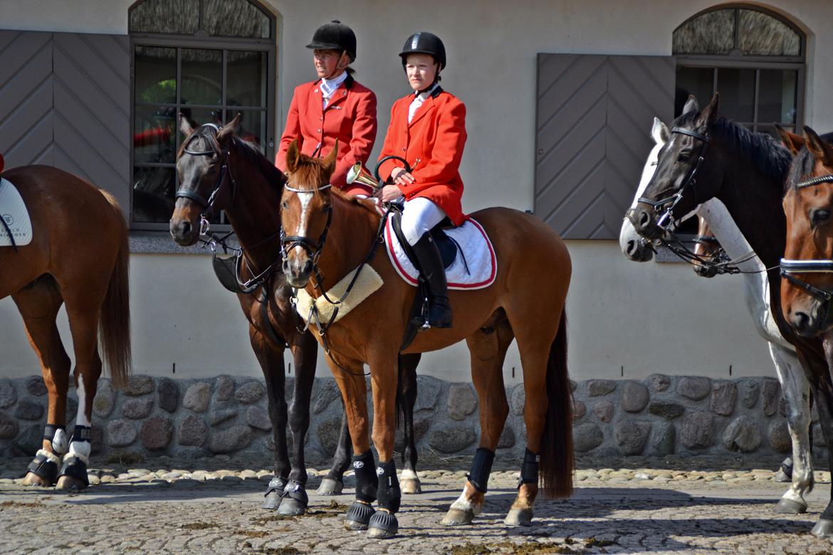 Jagt på Stald Friheden billede 5