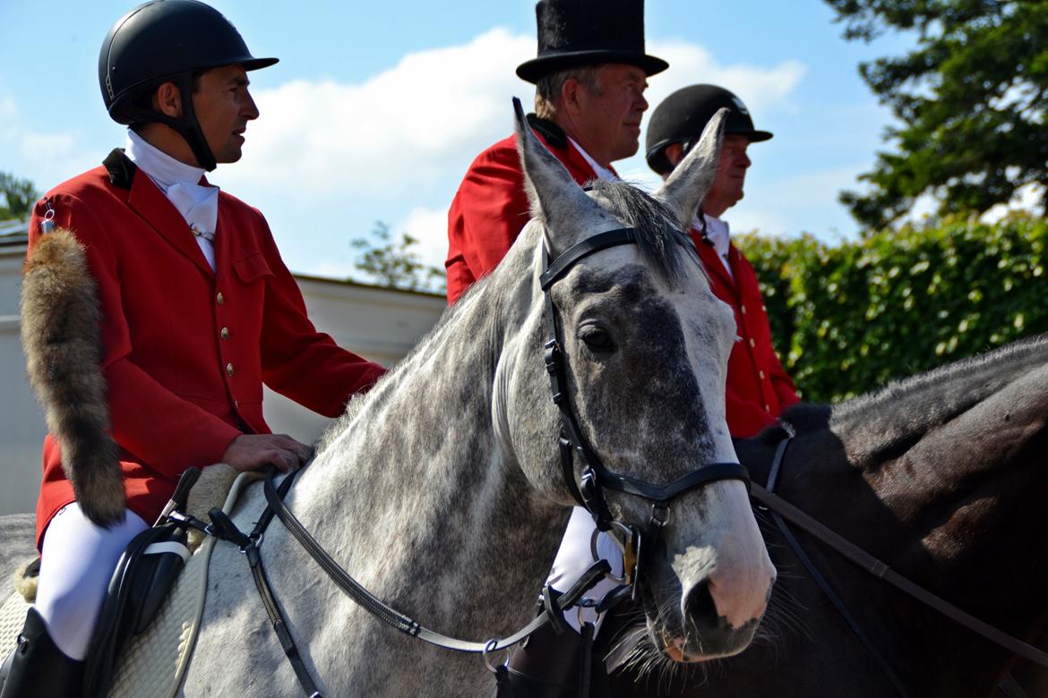 Jagt på Stald Friheden billede 6