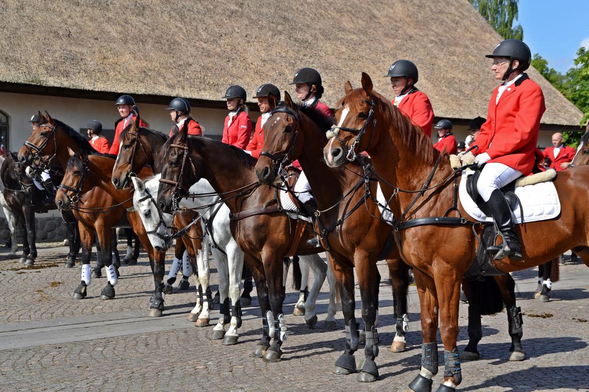 Jagt på Stald Friheden billede 7