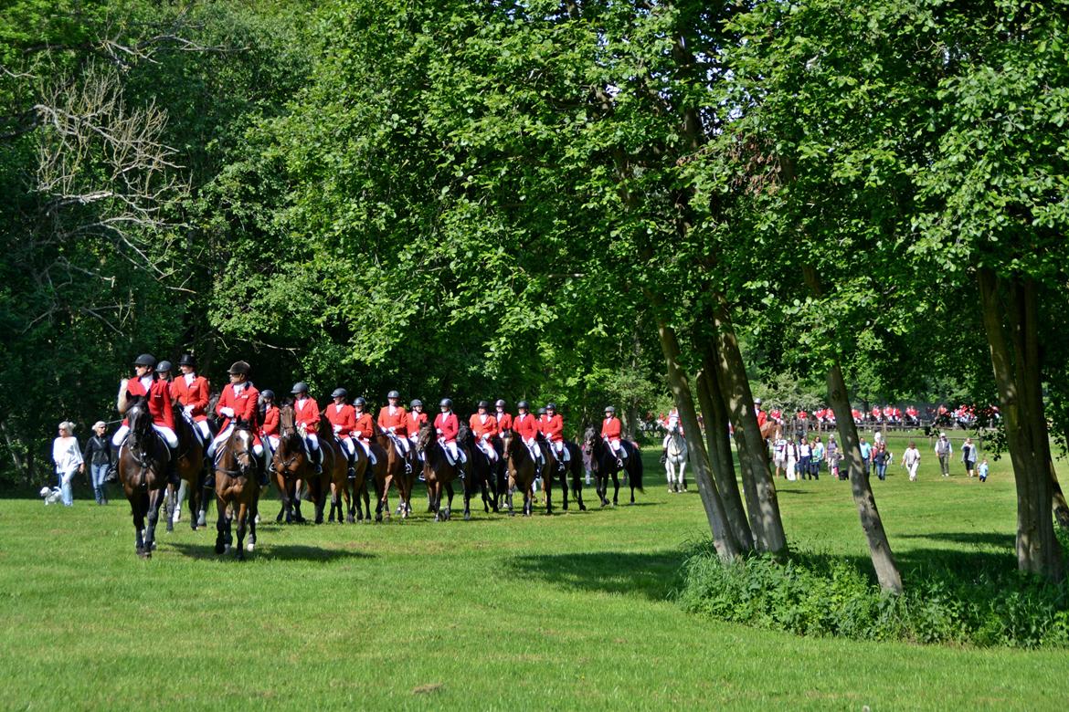 Jagt på Stald Friheden billede 8