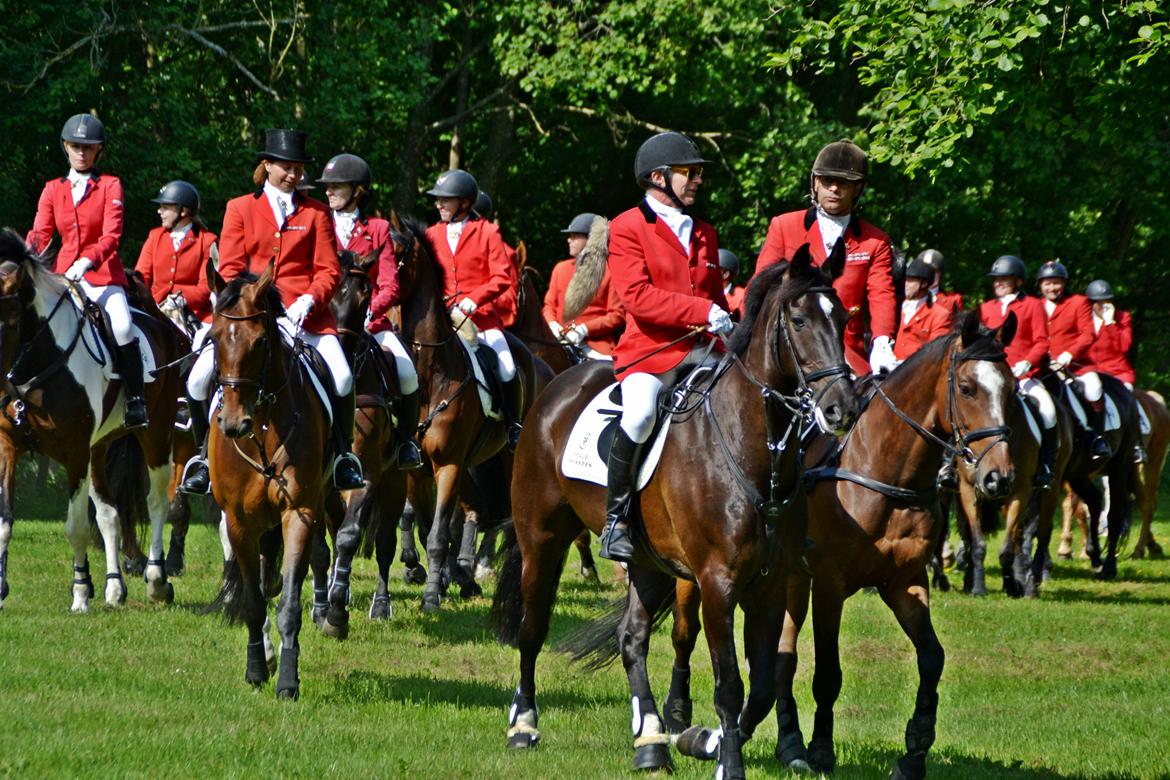 Jagt på Stald Friheden billede 9