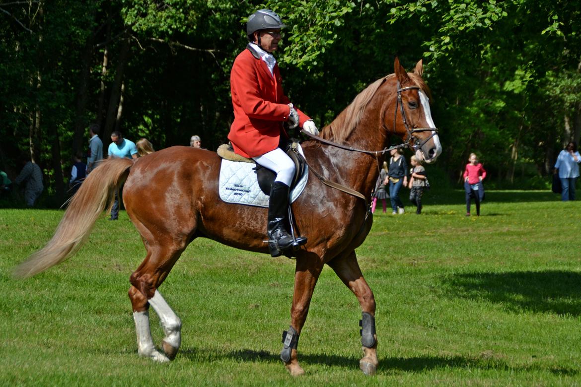 Jagt på Stald Friheden billede 10
