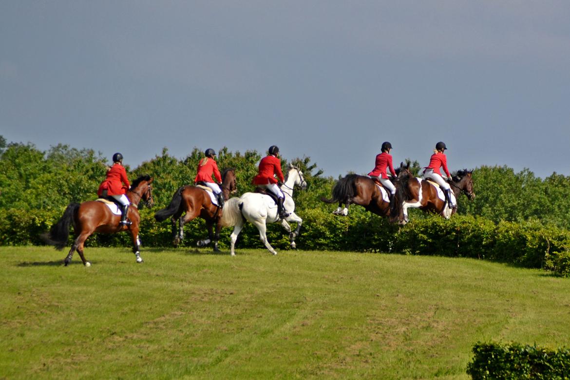 Jagt på Stald Friheden billede 11