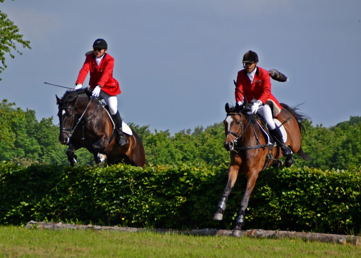 Jagt på Stald Friheden billede 12