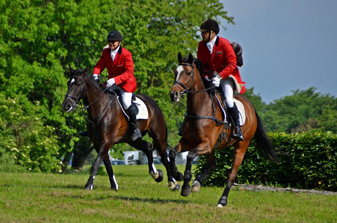 Jagt på Stald Friheden billede 13