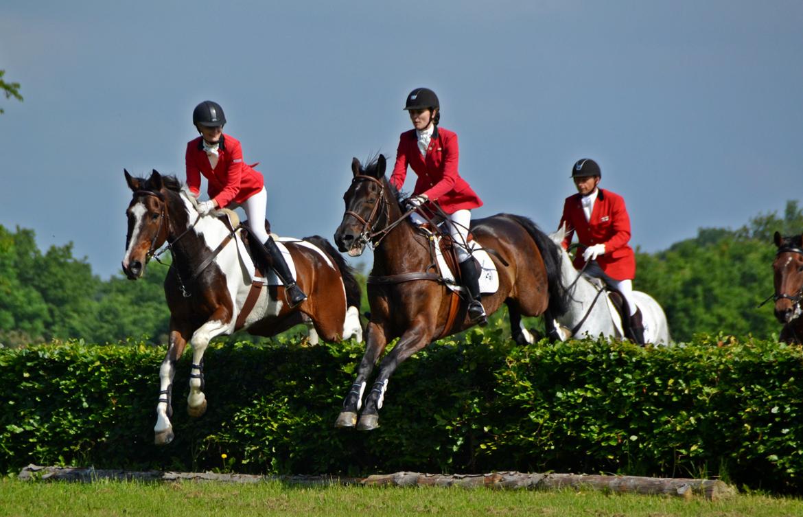 Jagt på Stald Friheden billede 14