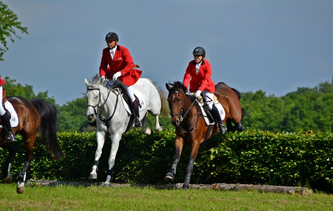 Jagt på Stald Friheden billede 15