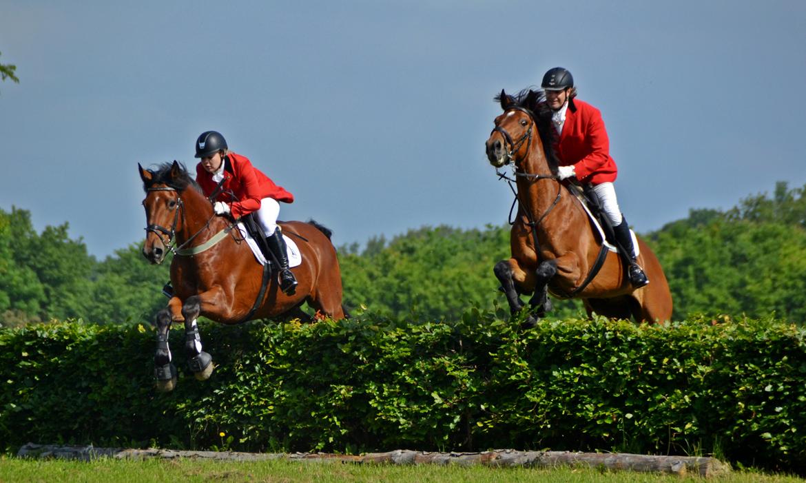 Jagt på Stald Friheden billede 16