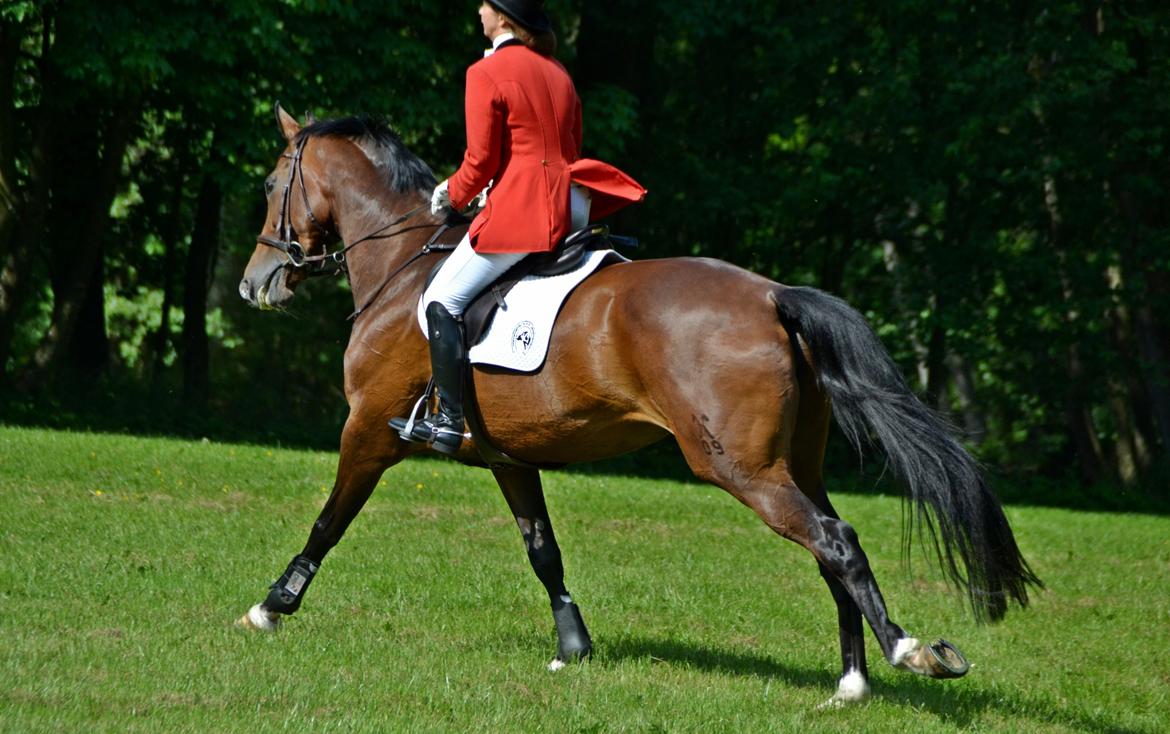 Jagt på Stald Friheden billede 17