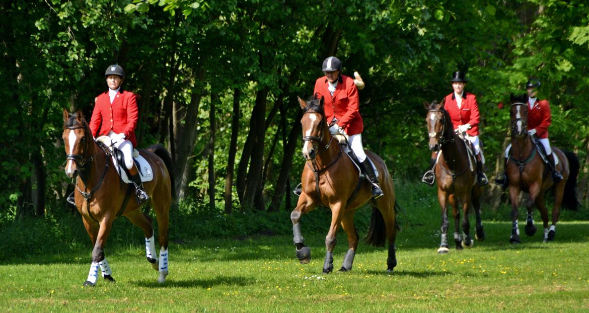 Jagt på Stald Friheden billede 18