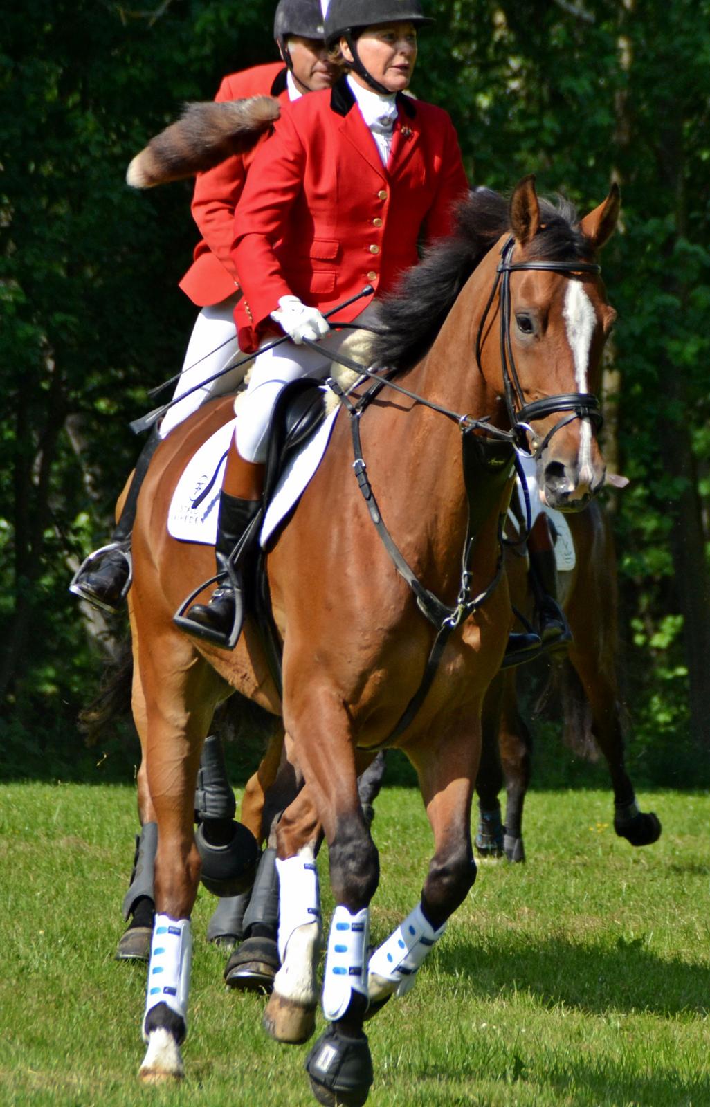 Jagt på Stald Friheden billede 19