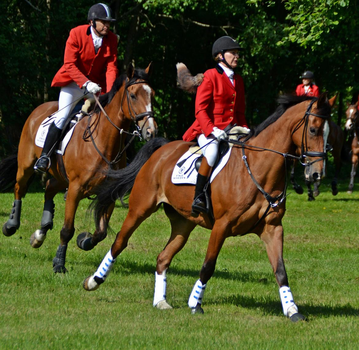 Jagt på Stald Friheden billede 20