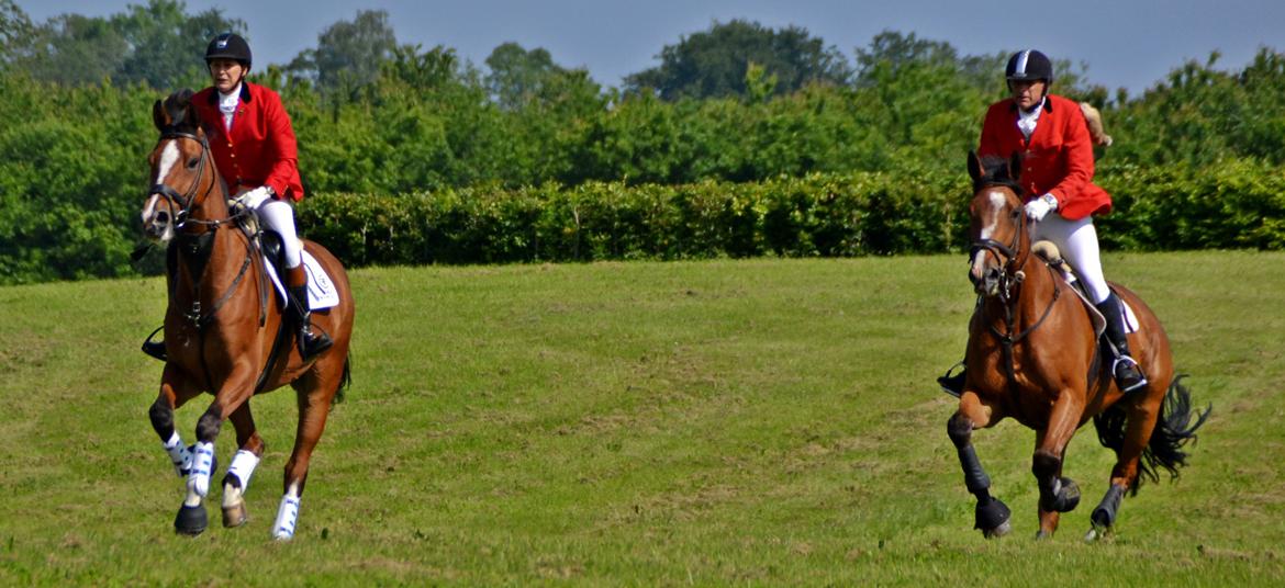 Jagt på Stald Friheden billede 21