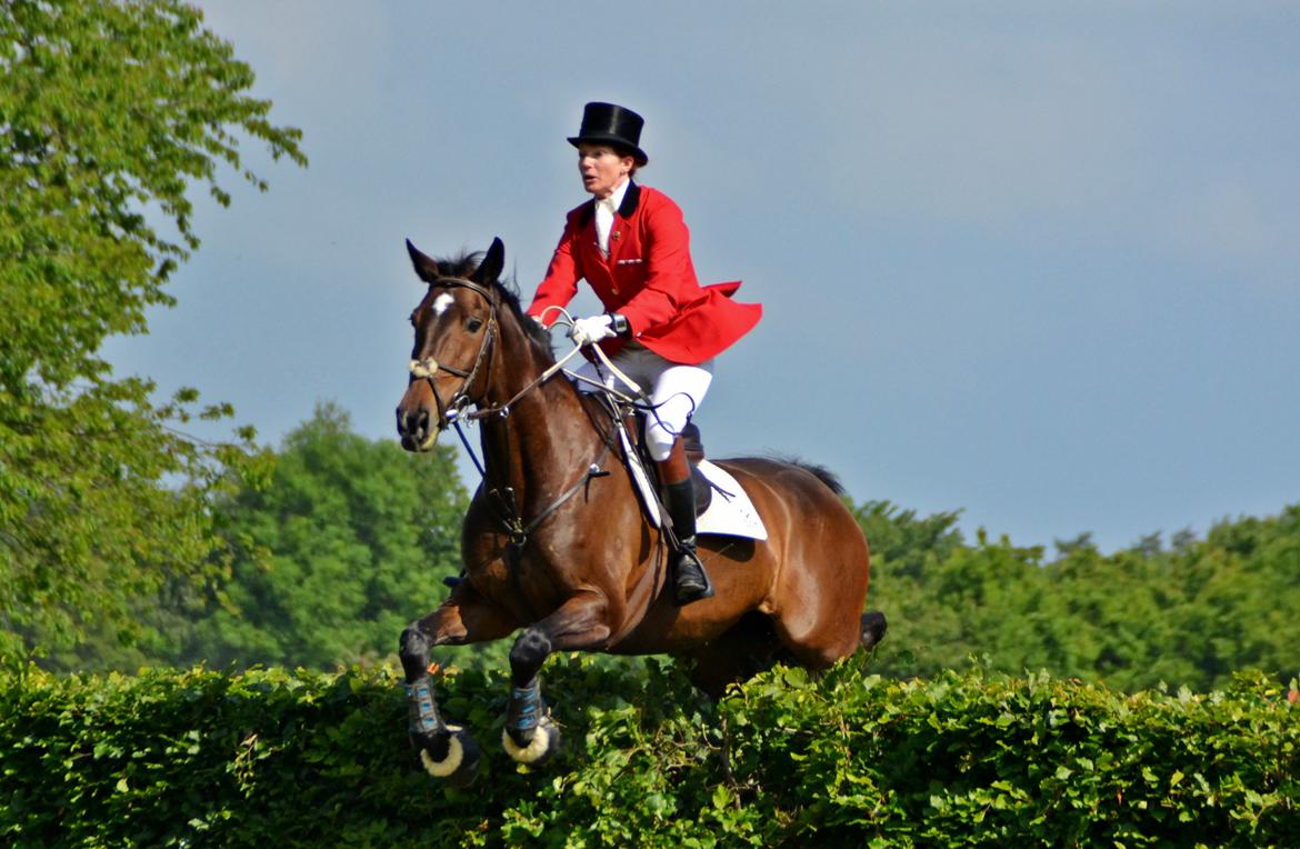 Jagt på Stald Friheden billede 22