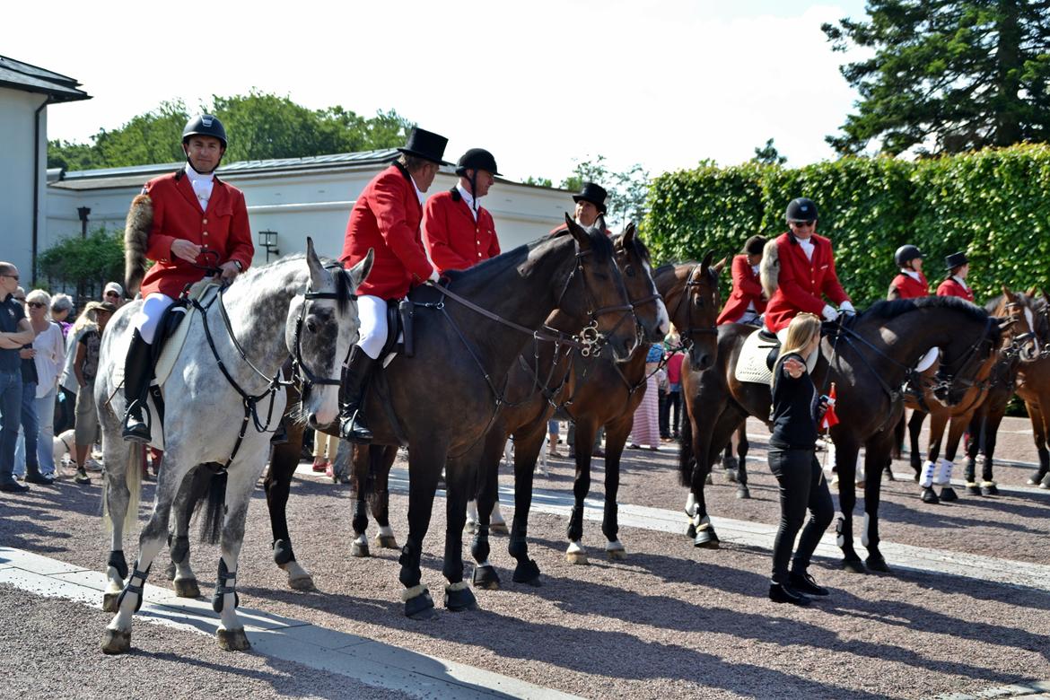 Jagt på Stald Friheden billede 3