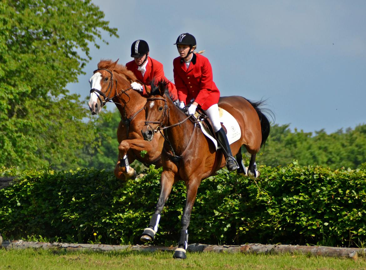 Jagt på Stald Friheden billede 24