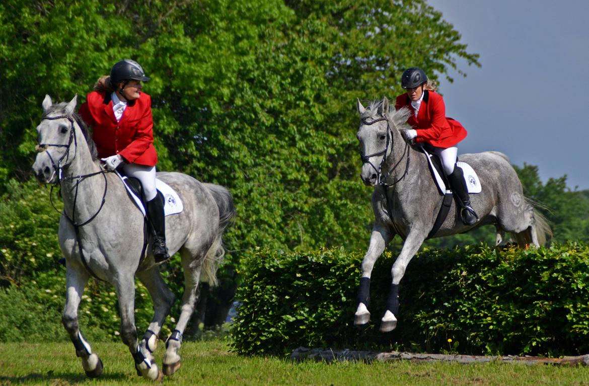 Jagt på Stald Friheden billede 25