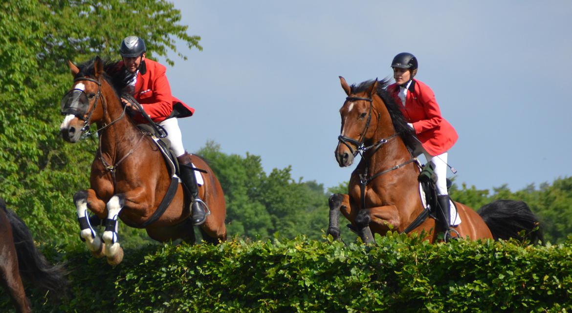 Jagt på Stald Friheden billede 27