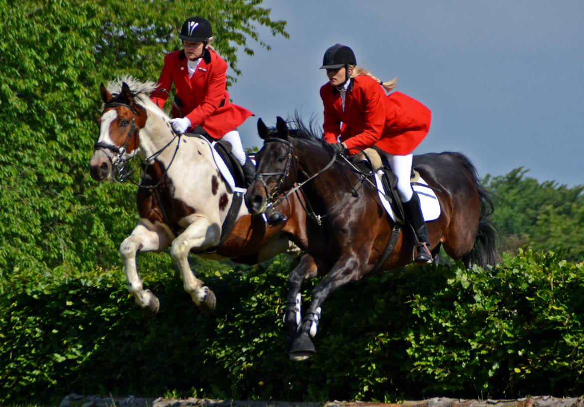 Jagt på Stald Friheden billede 28