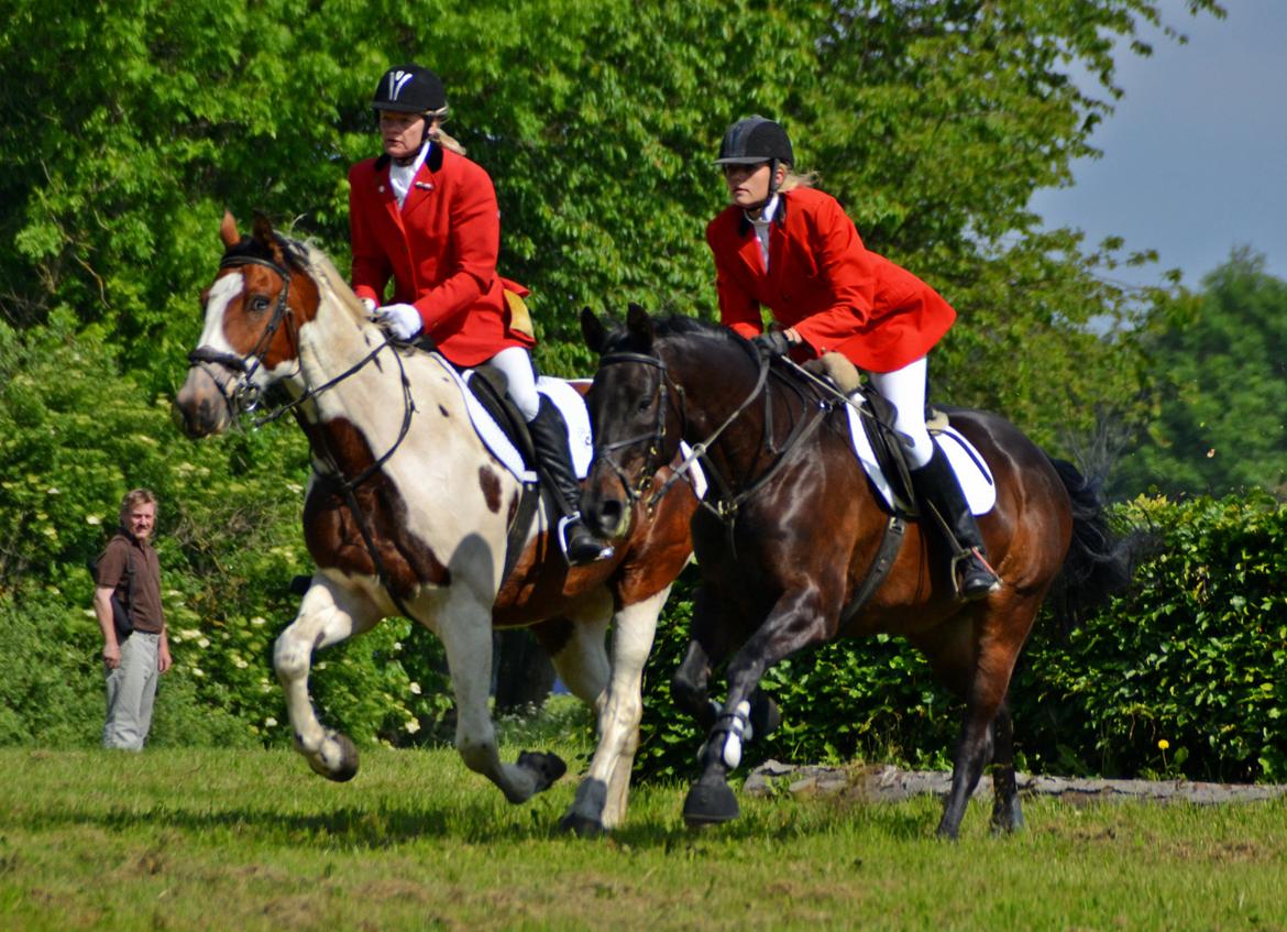 Jagt på Stald Friheden billede 29