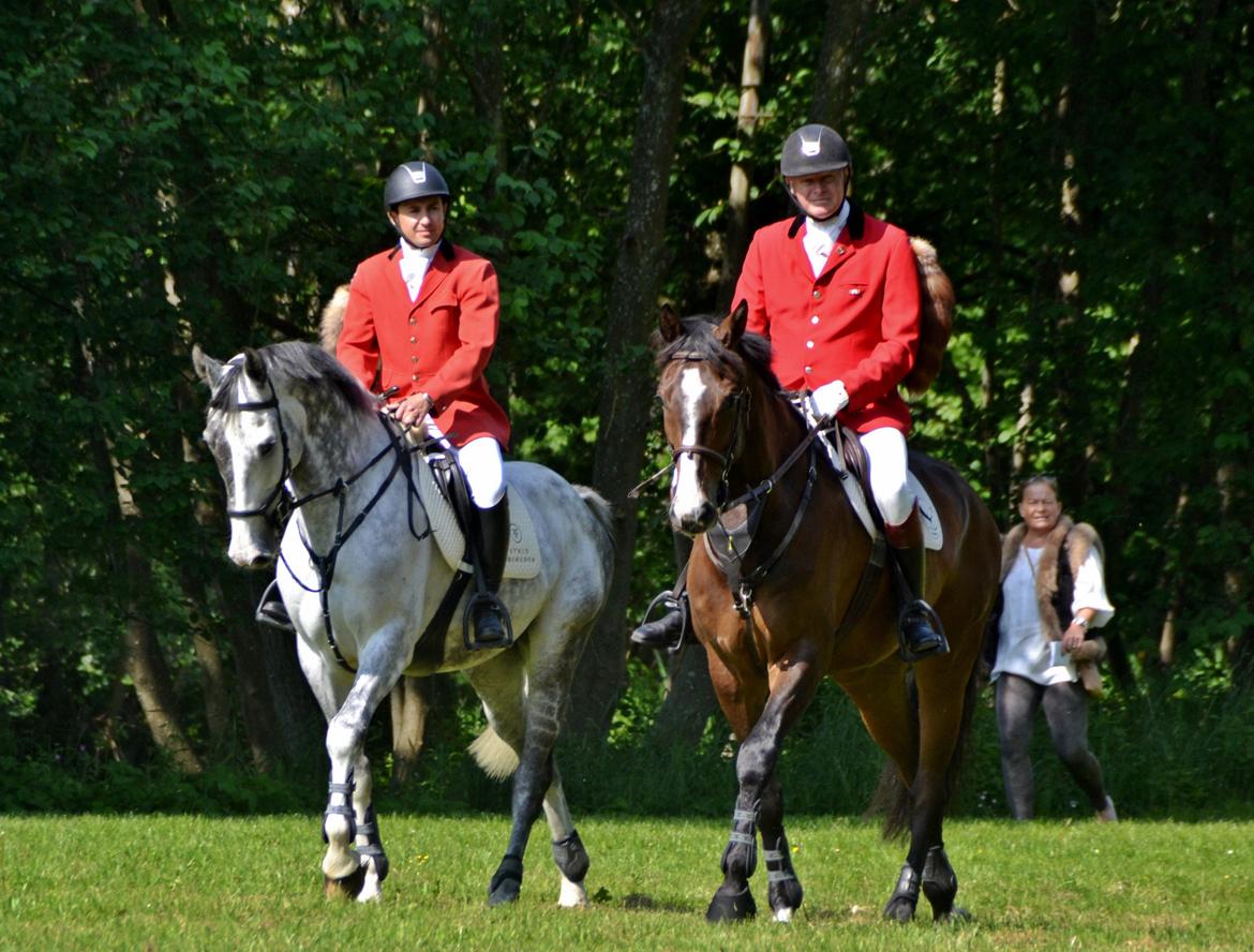 Jagt på Stald Friheden billede 30