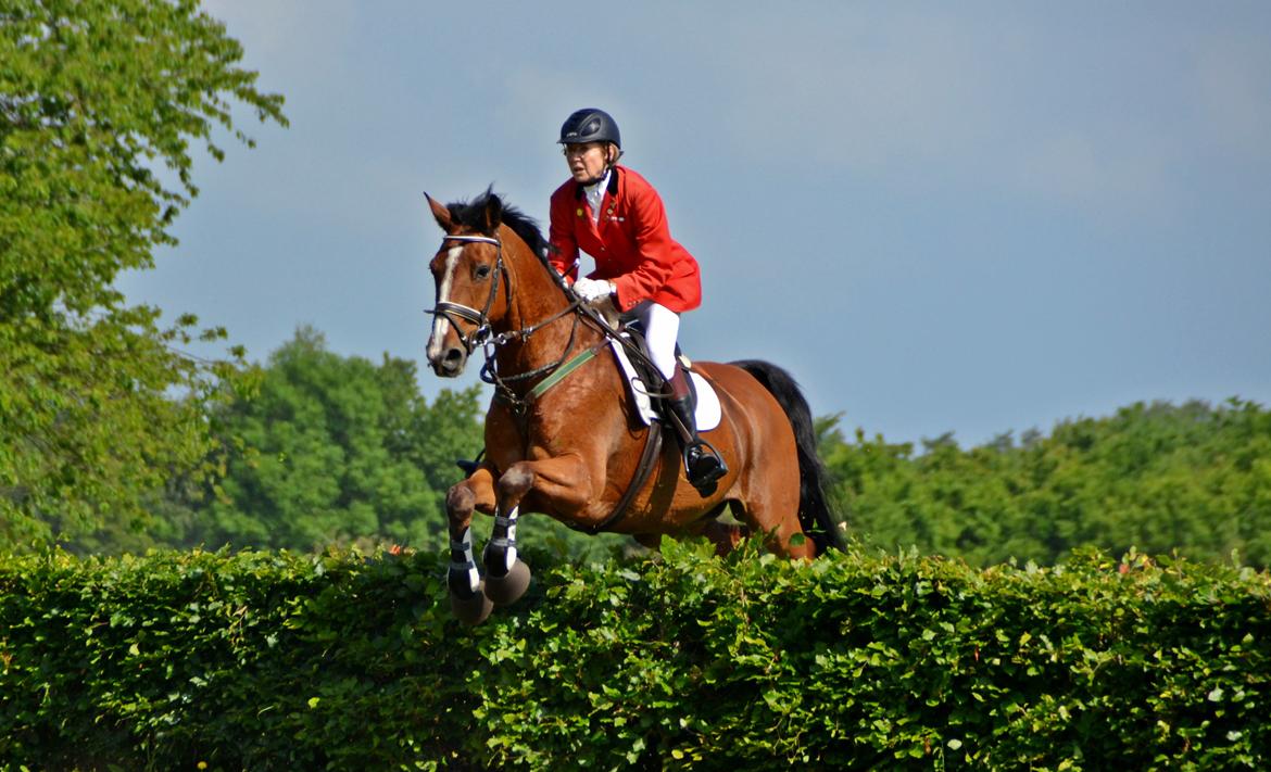 Jagt på Stald Friheden billede 23