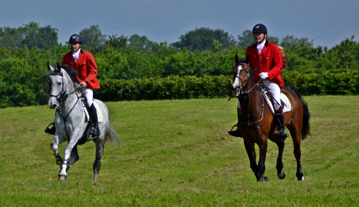 Jagt på Stald Friheden billede 32