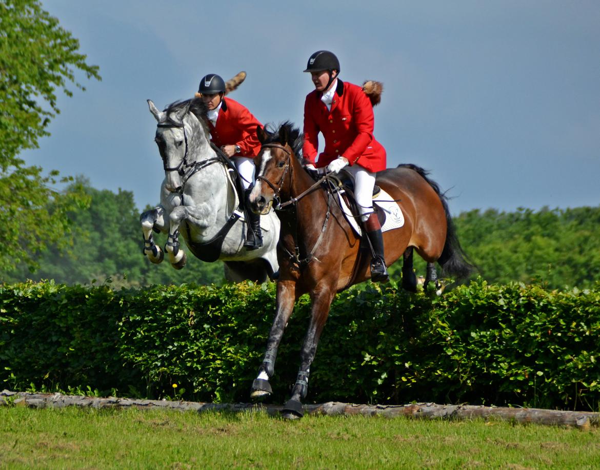 Jagt på Stald Friheden billede 33