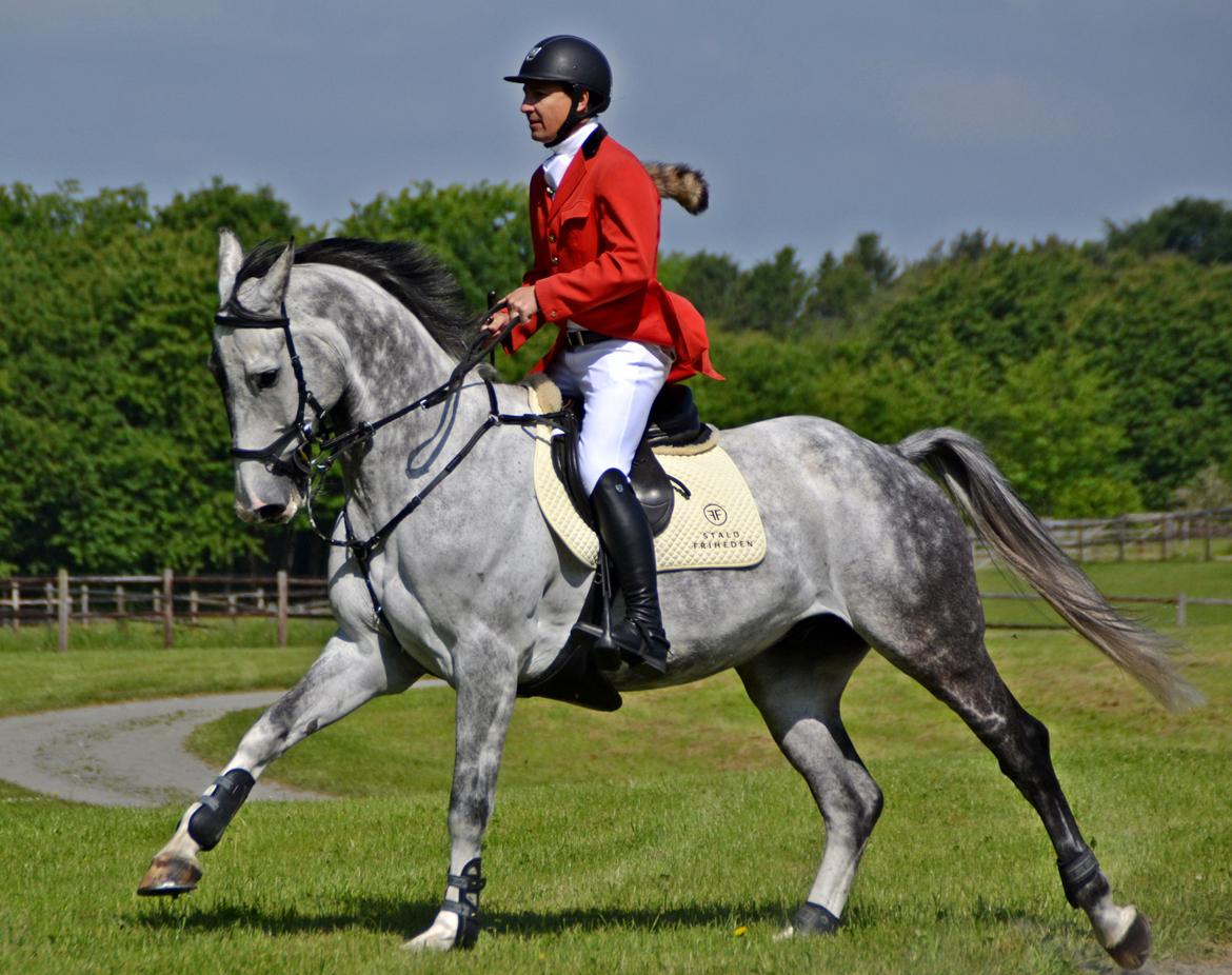 Jagt på Stald Friheden billede 35