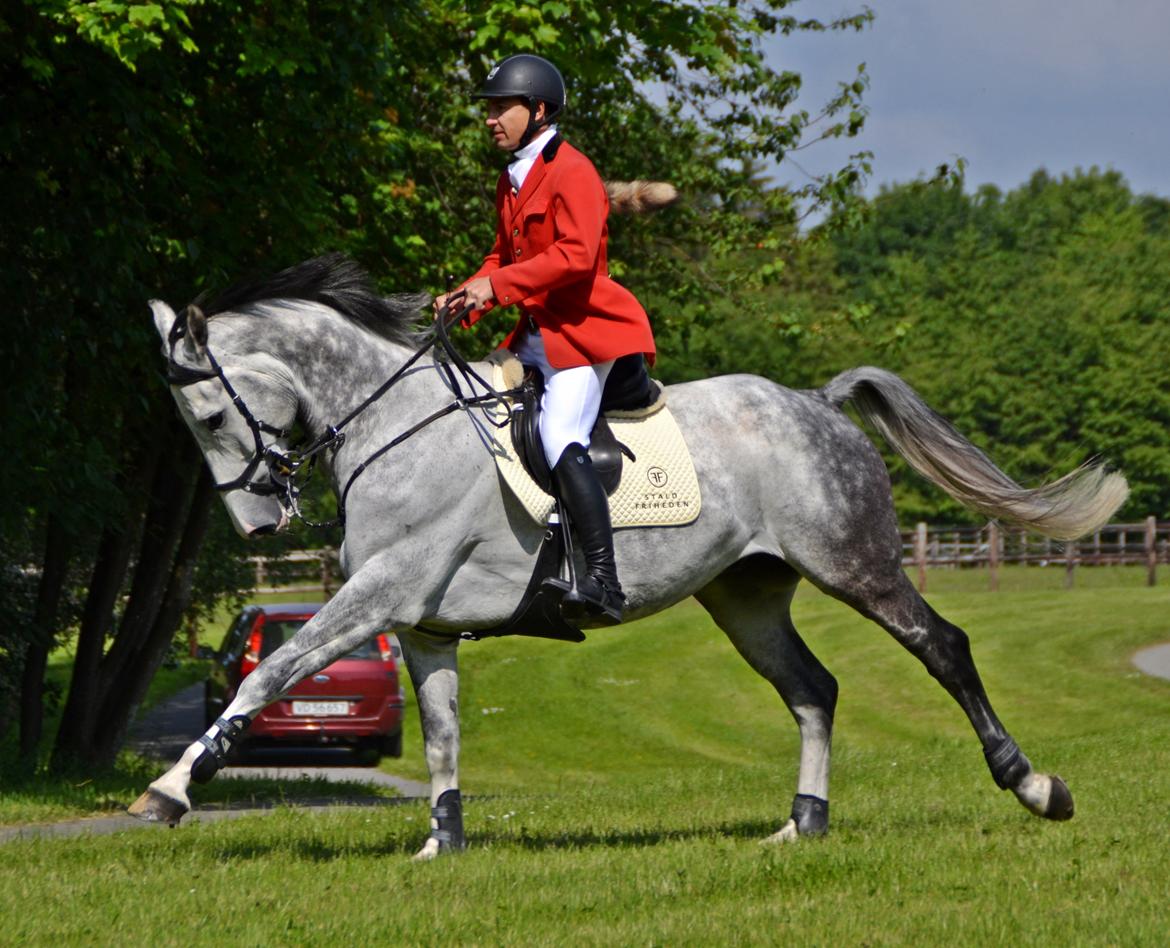 Jagt på Stald Friheden billede 36