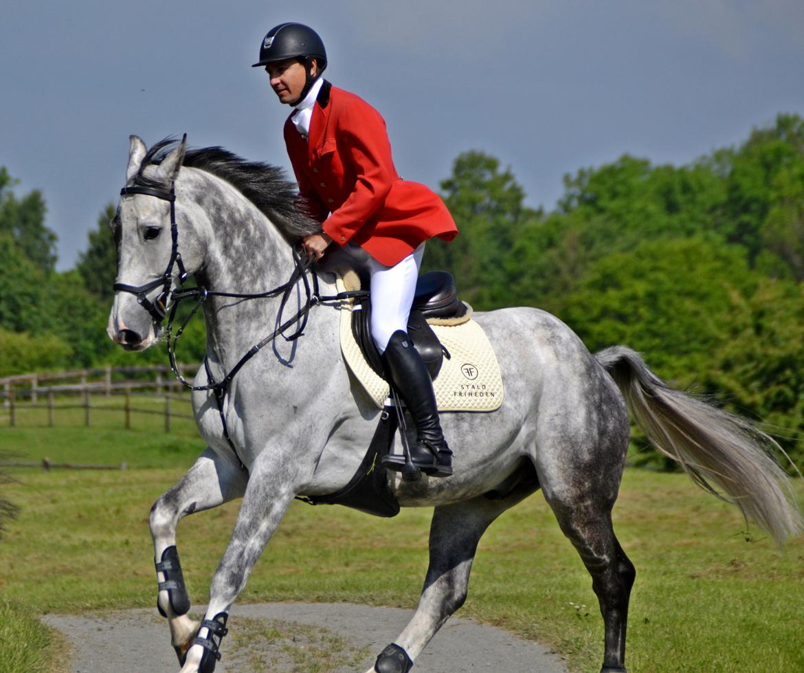 Jagt på Stald Friheden billede 1