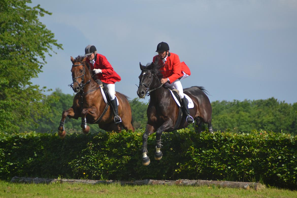 Jagt på Stald Friheden billede 38