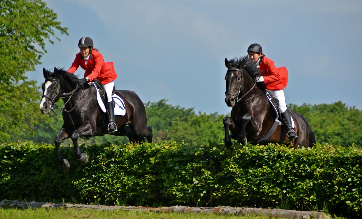 Jagt på Stald Friheden billede 37