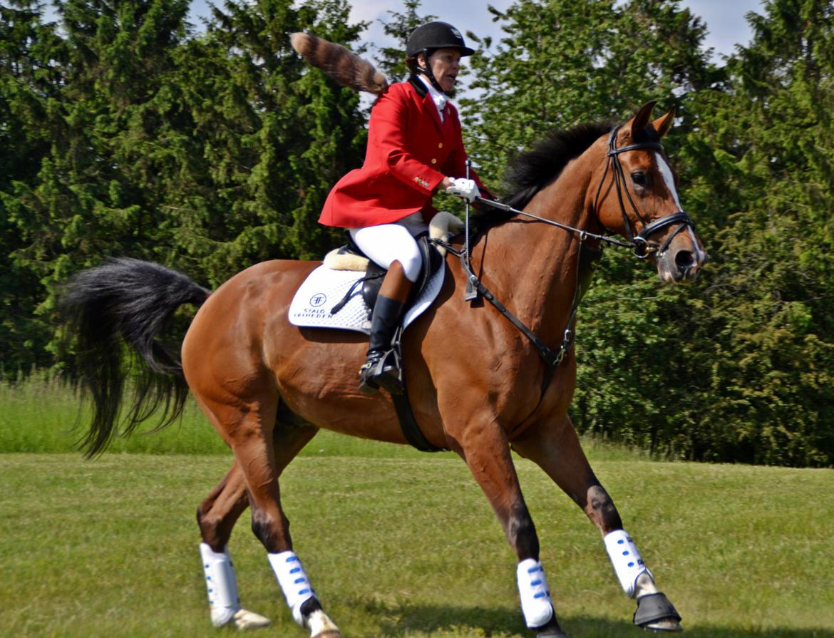 Jagt på Stald Friheden billede 40