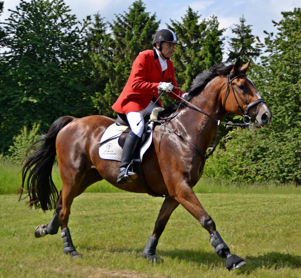 Jagt på Stald Friheden billede 41