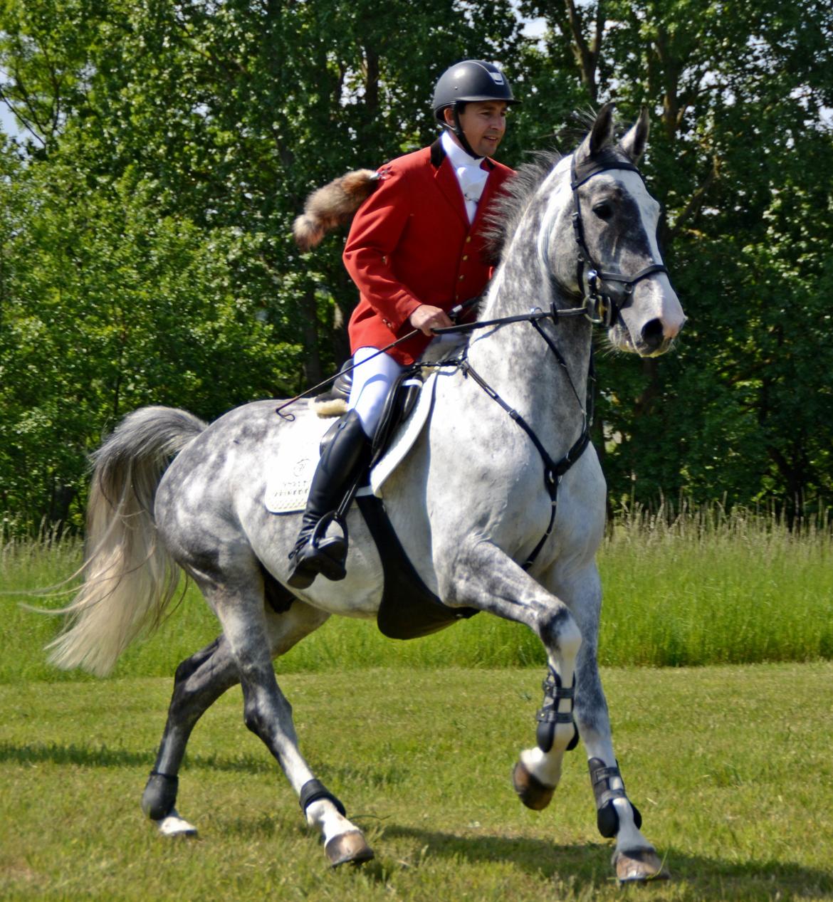 Jagt på Stald Friheden billede 43