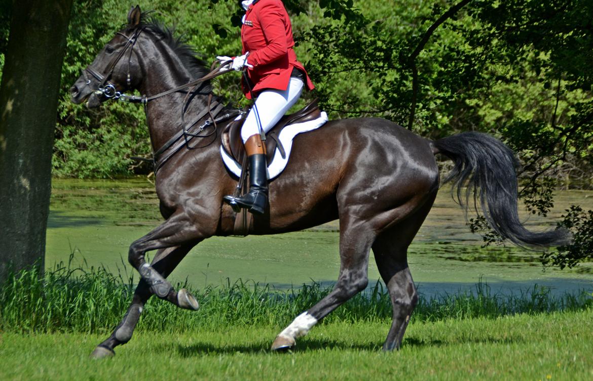 Jagt på Stald Friheden billede 39