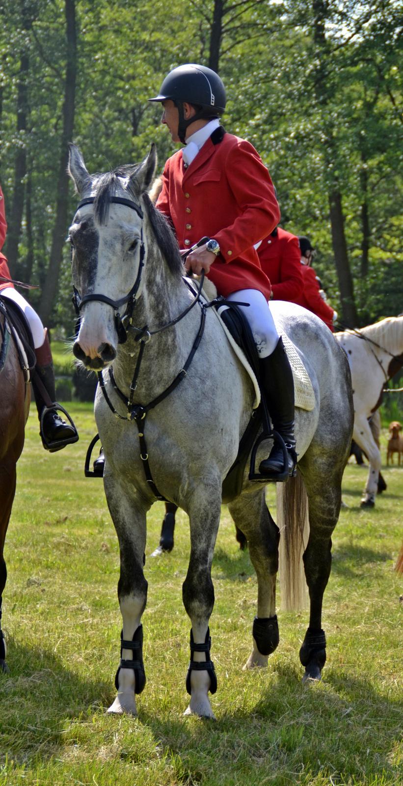 Jagt på Stald Friheden billede 45
