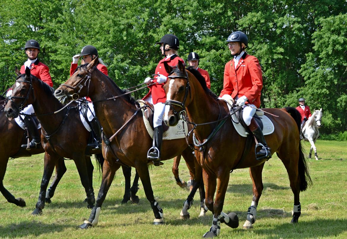 Jagt på Stald Friheden billede 48