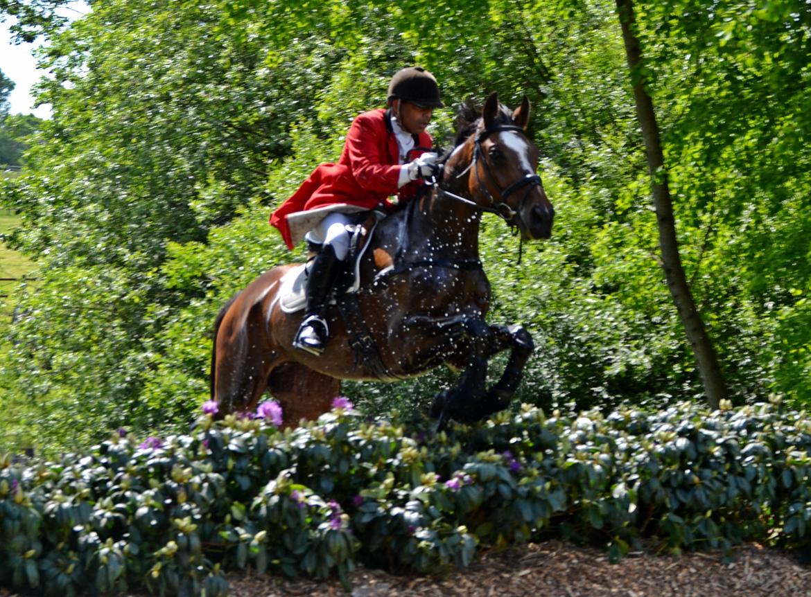 Jagt på Stald Friheden billede 49