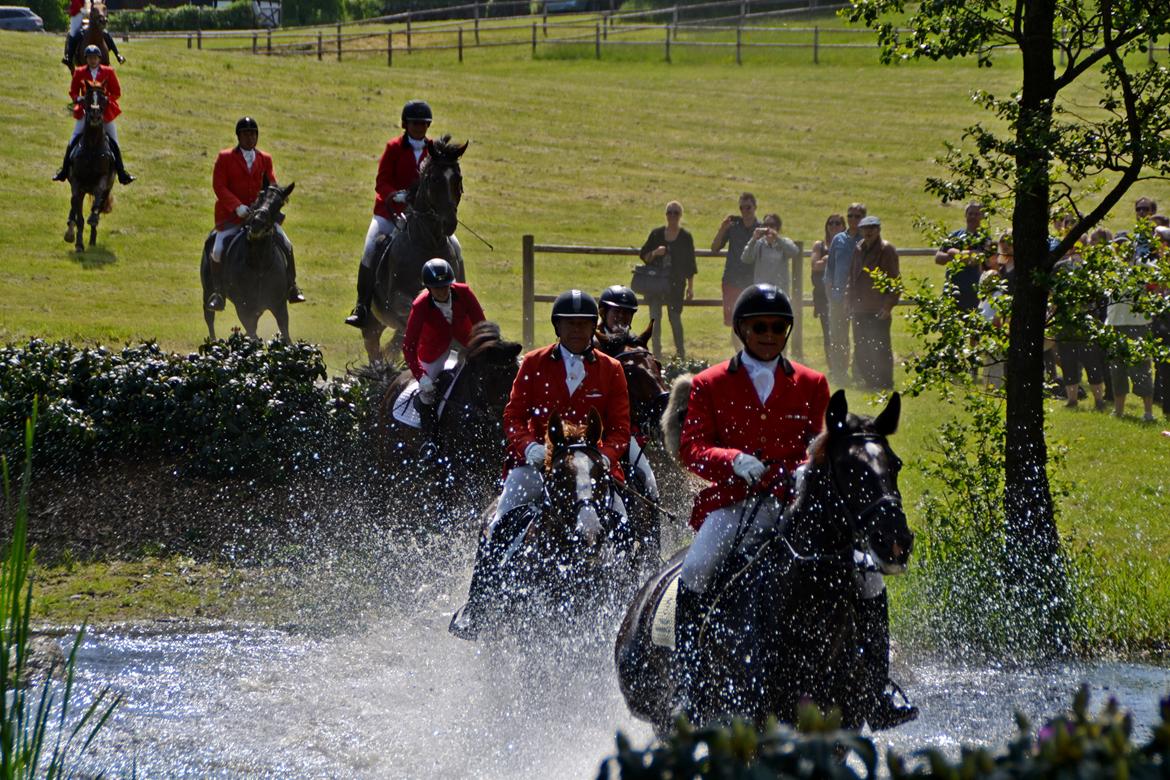 Jagt på Stald Friheden billede 50