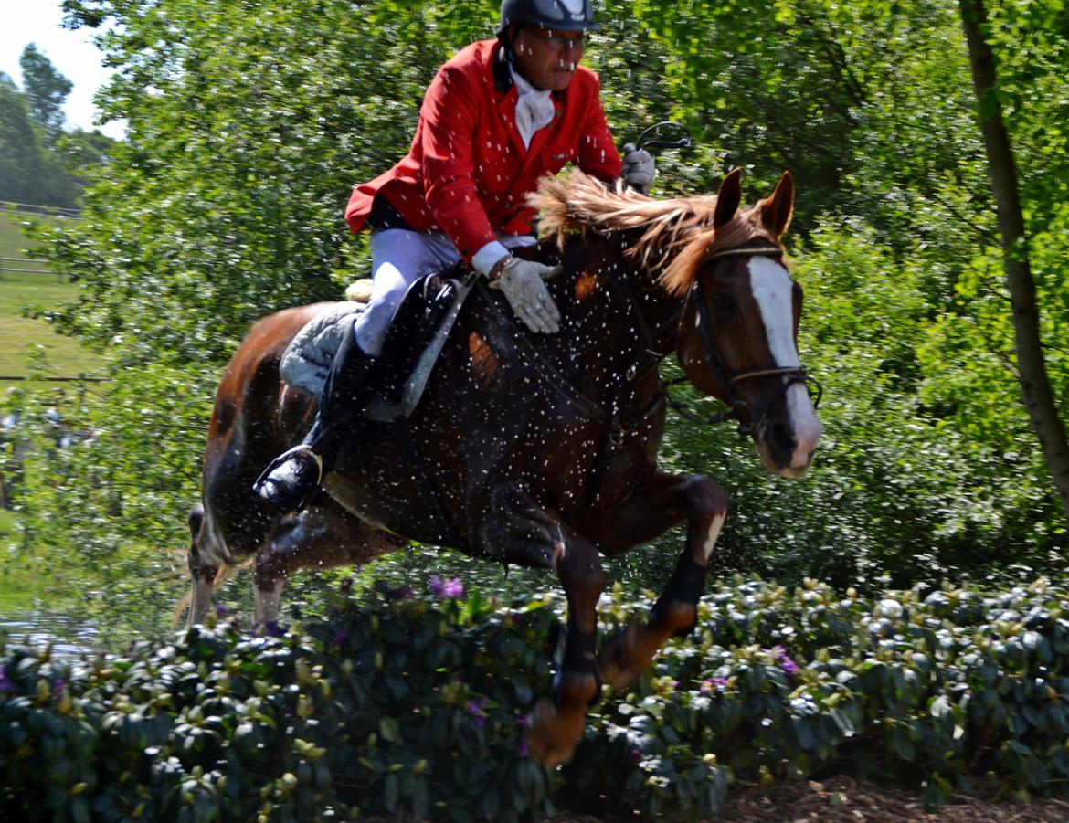 Jagt på Stald Friheden billede 51