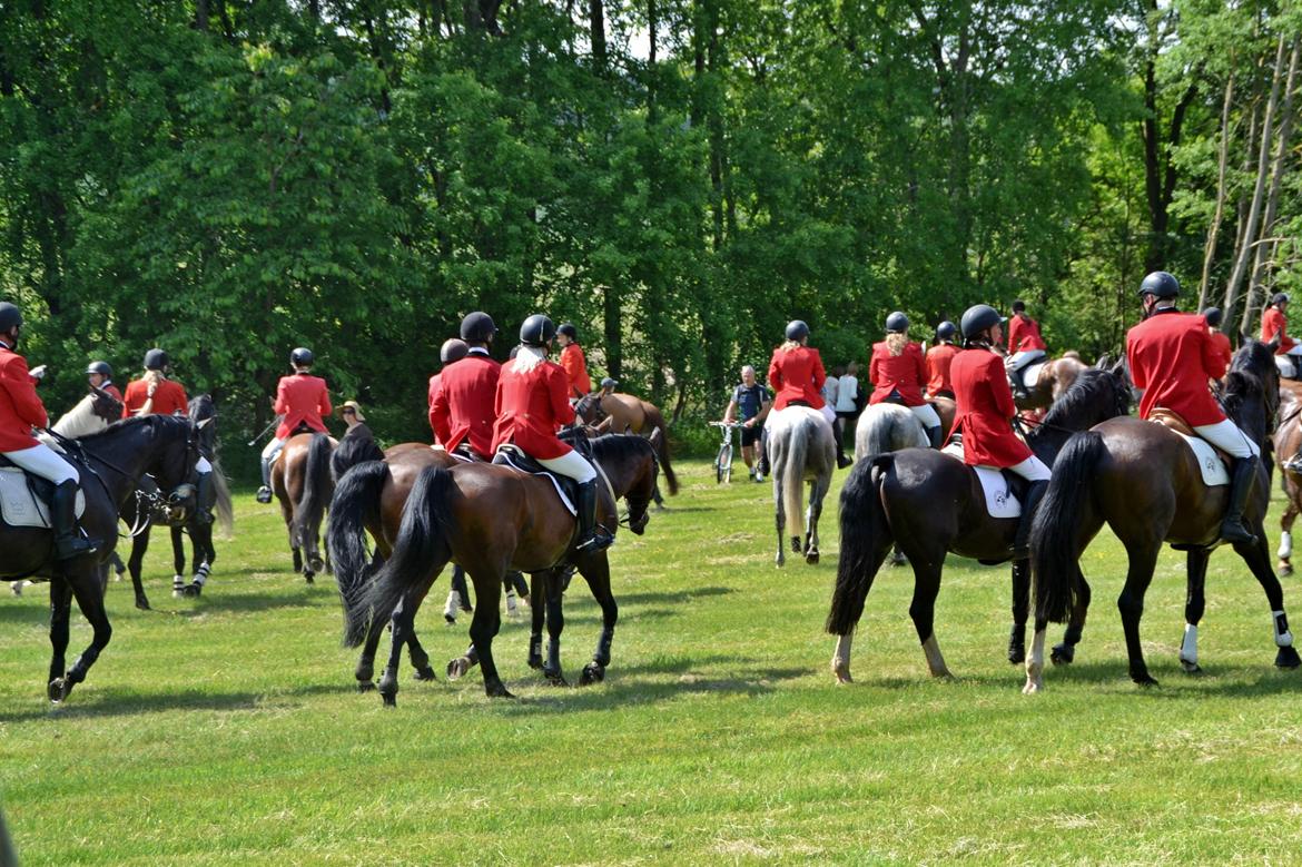 Jagt på Stald Friheden billede 47