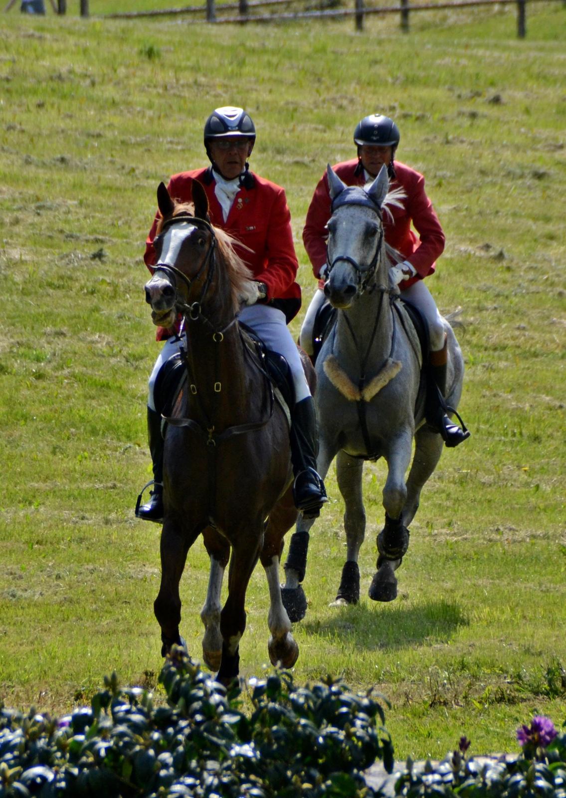 Jagt på Stald Friheden billede 54