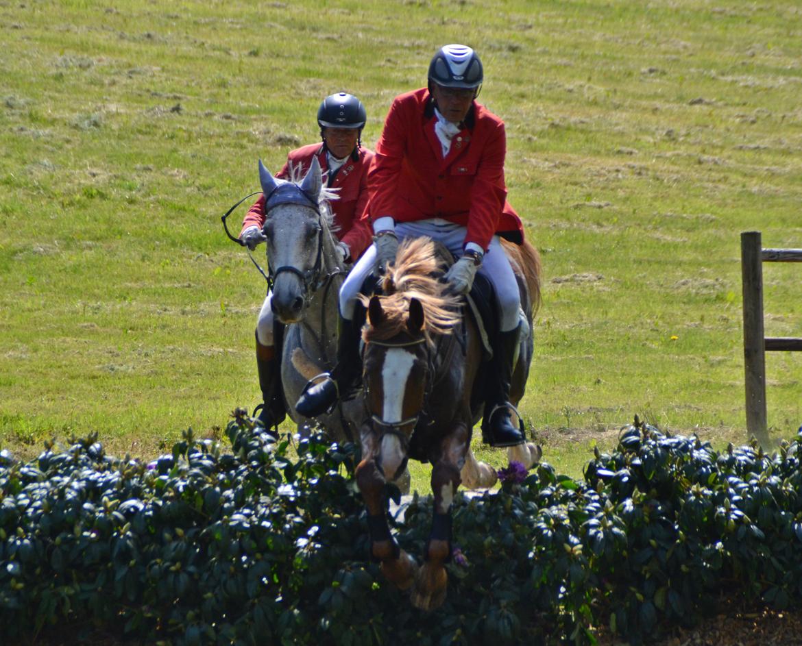Jagt på Stald Friheden billede 56