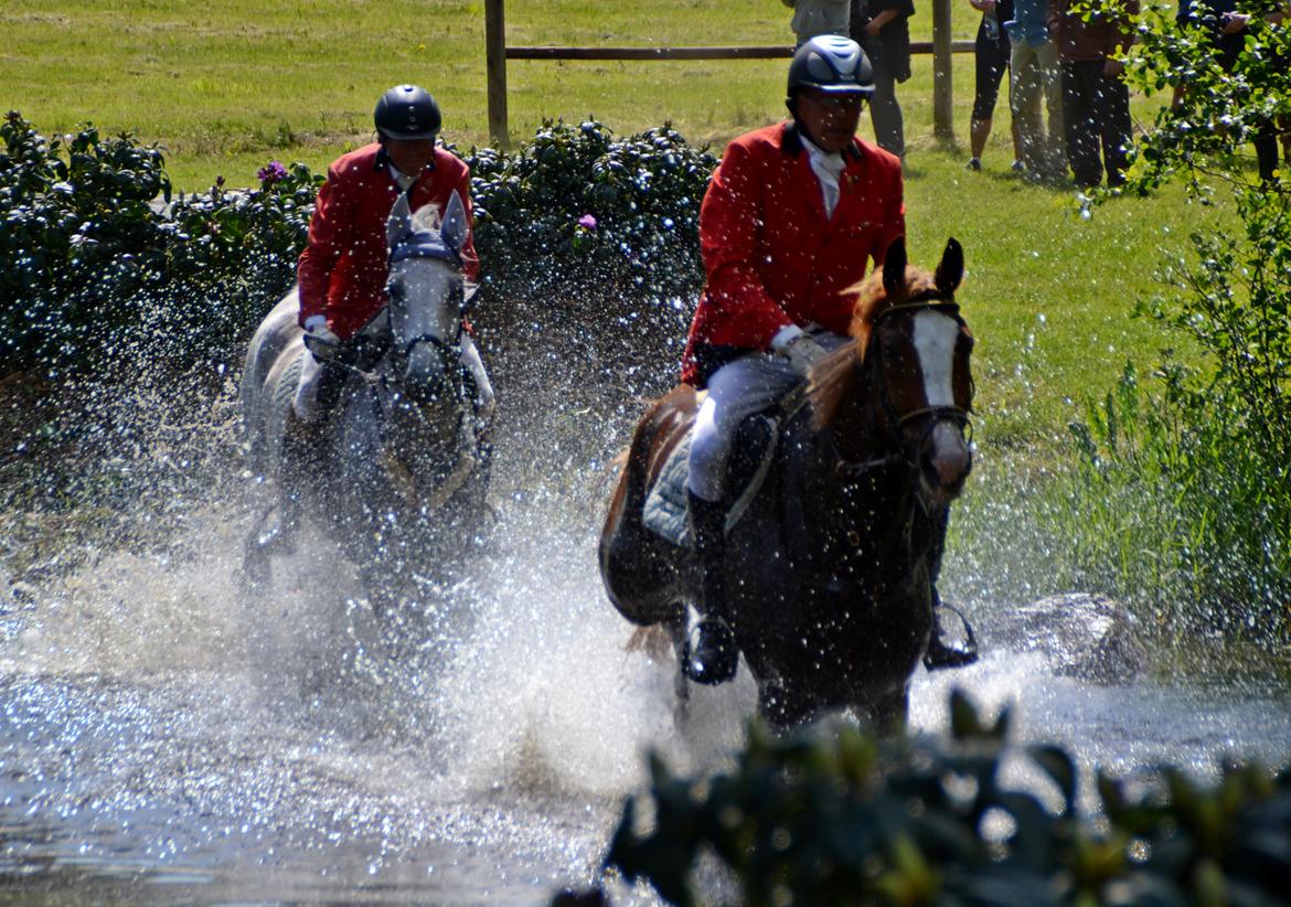 Jagt på Stald Friheden billede 57