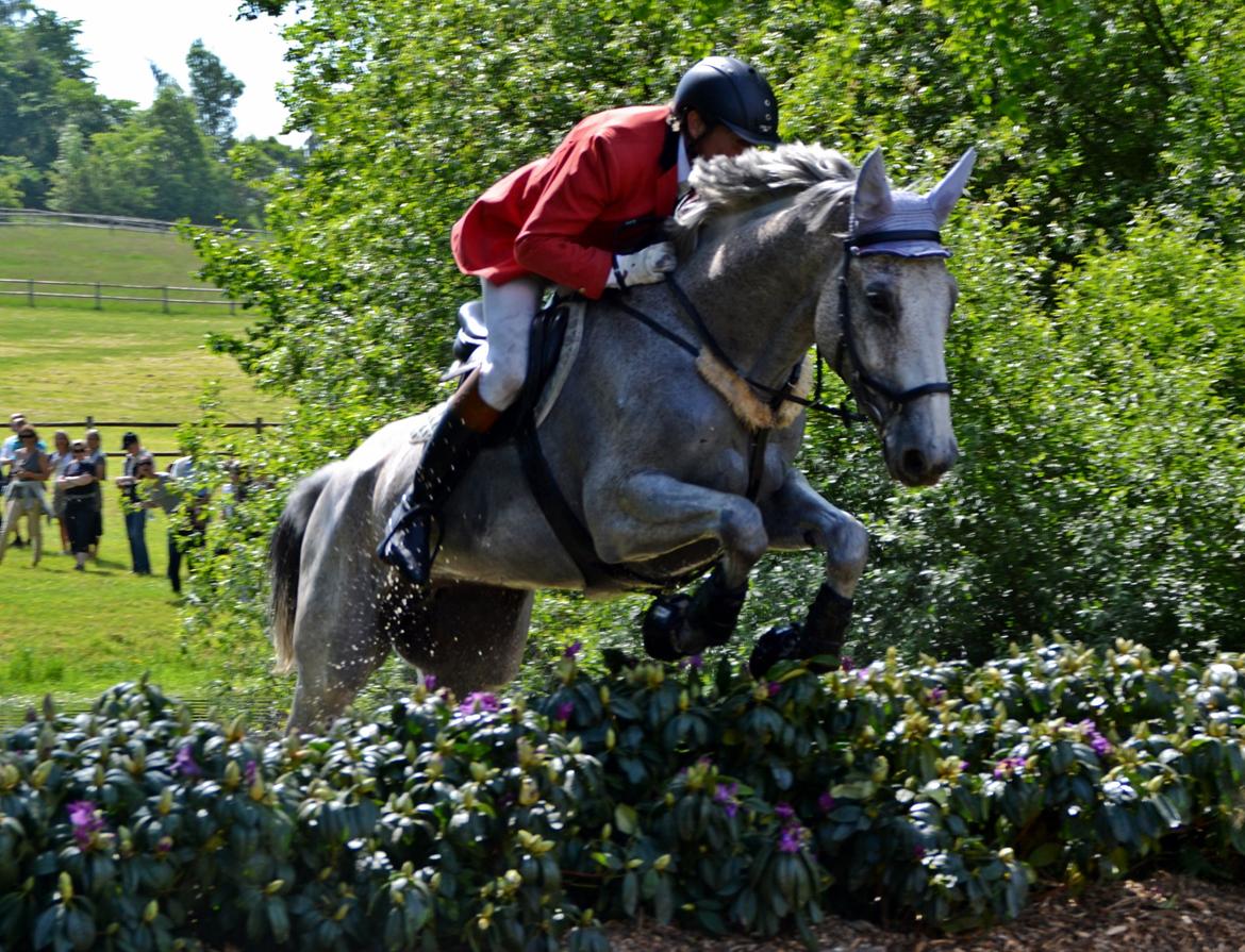 Jagt på Stald Friheden billede 58