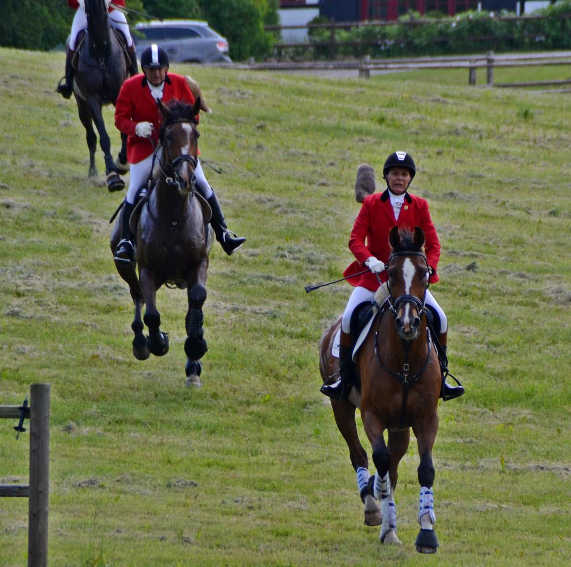 Jagt på Stald Friheden billede 59