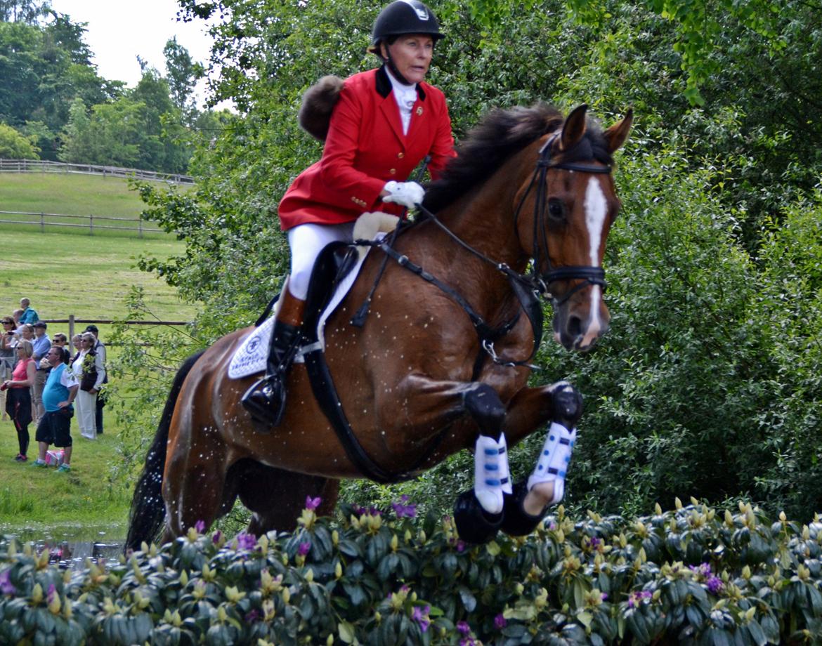 Jagt på Stald Friheden billede 61