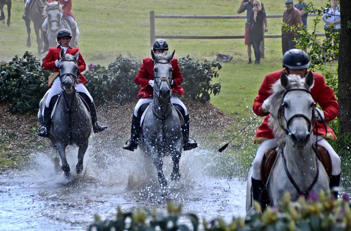Jagt på Stald Friheden billede 62